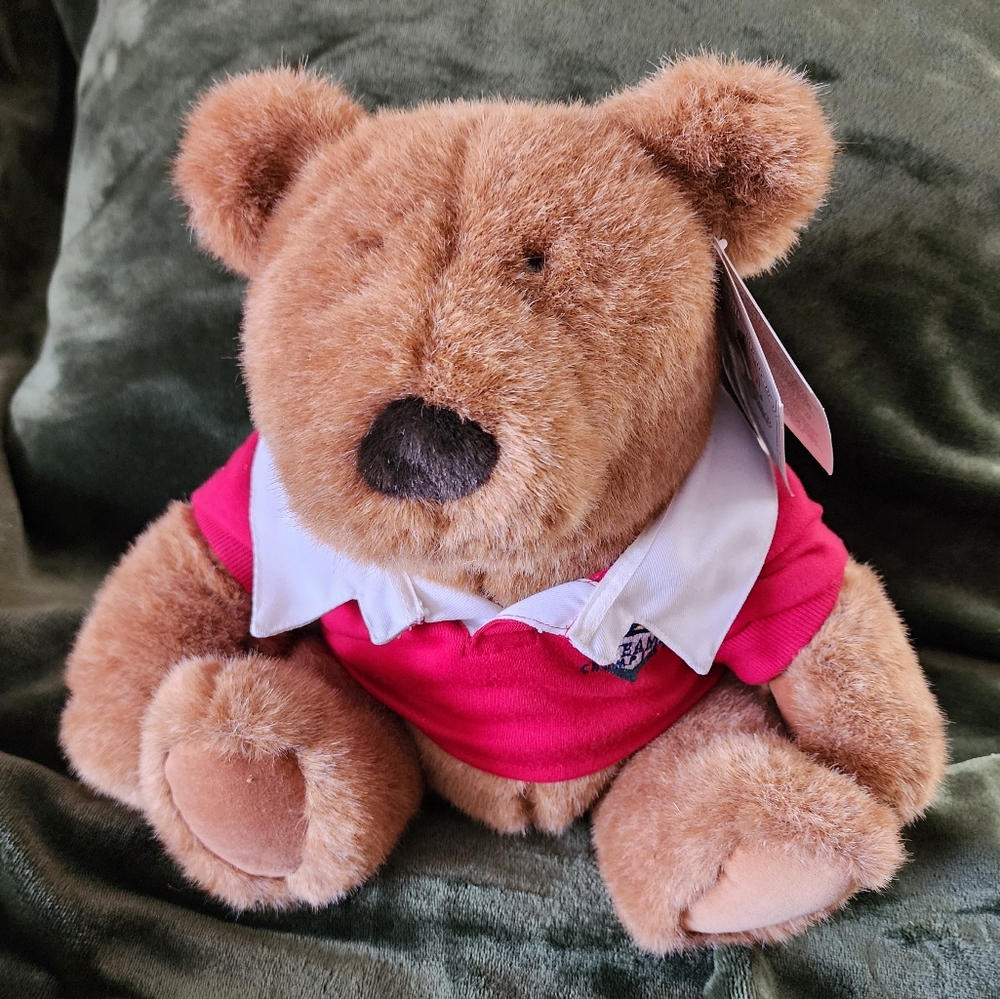 Vintage Lands End Gund L.E. Plush 12" Rugby Champion Brownie Muldoon Teddy Bear